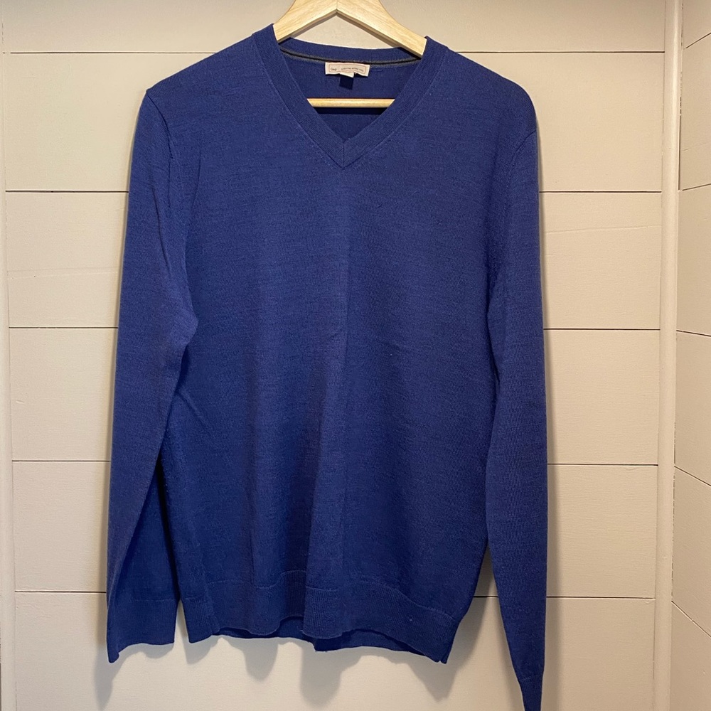 GAP fine merino wool v neck sweater